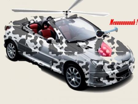 ma tite voiture !!!!